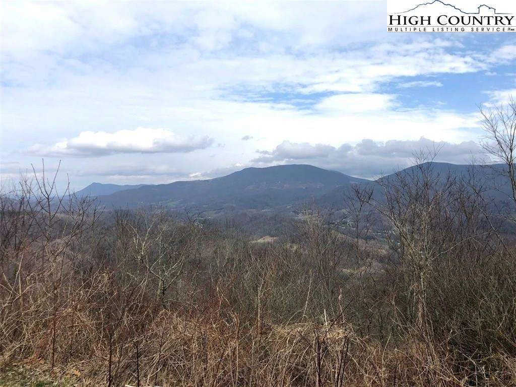 Image number 1 for the current listing