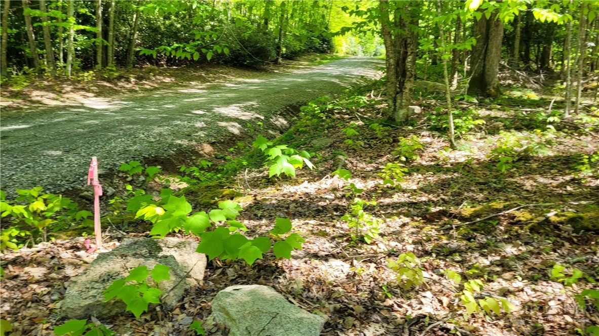 Image number 1 for the current listing
