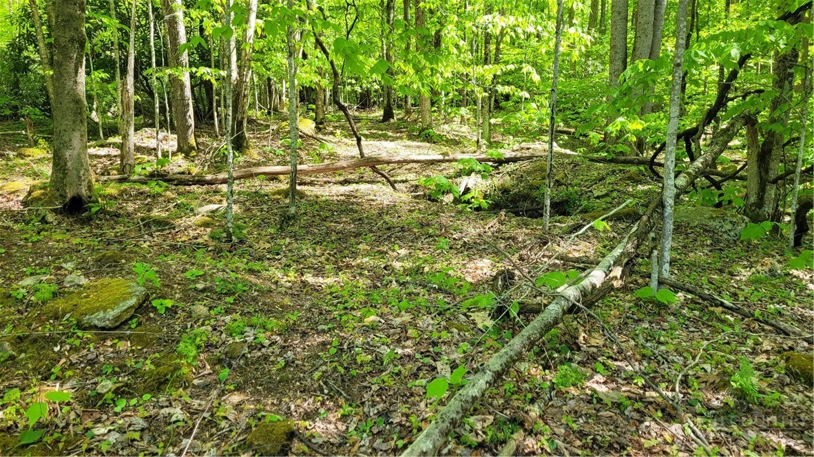 Image number 2 for the current listing