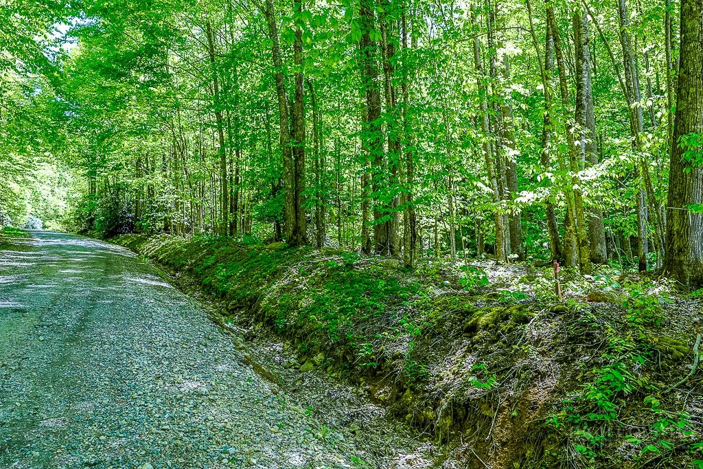 Image number 3 for the current listing