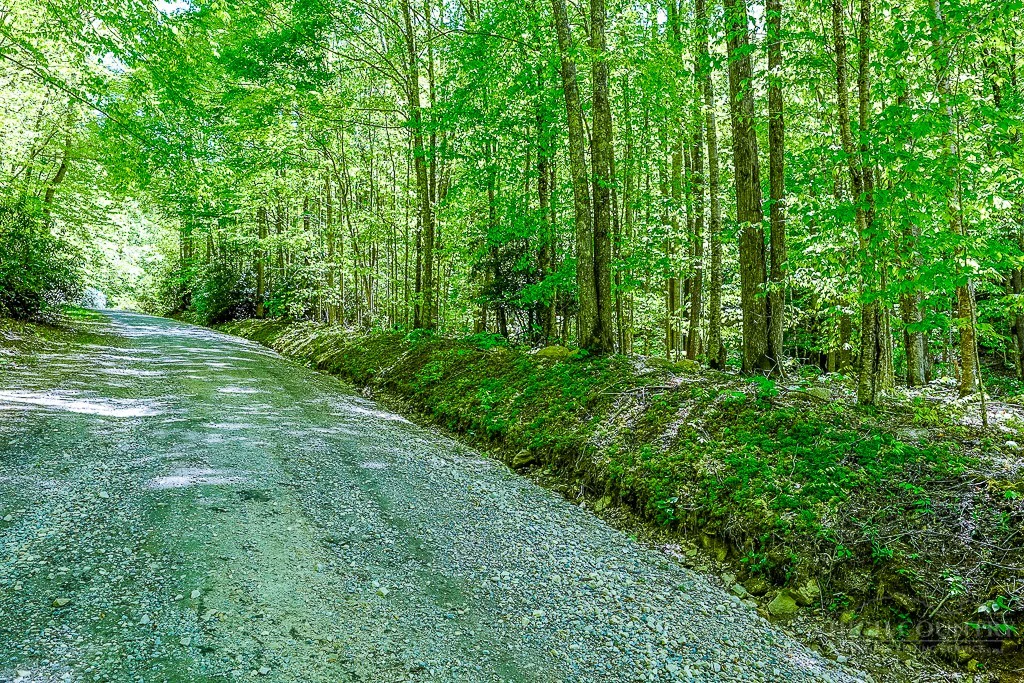 Image number 4 for the current listing