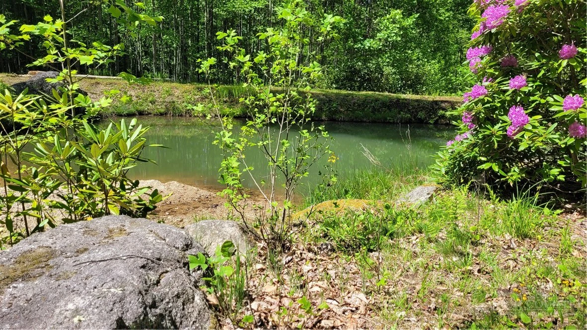 Image number 6 for the current listing