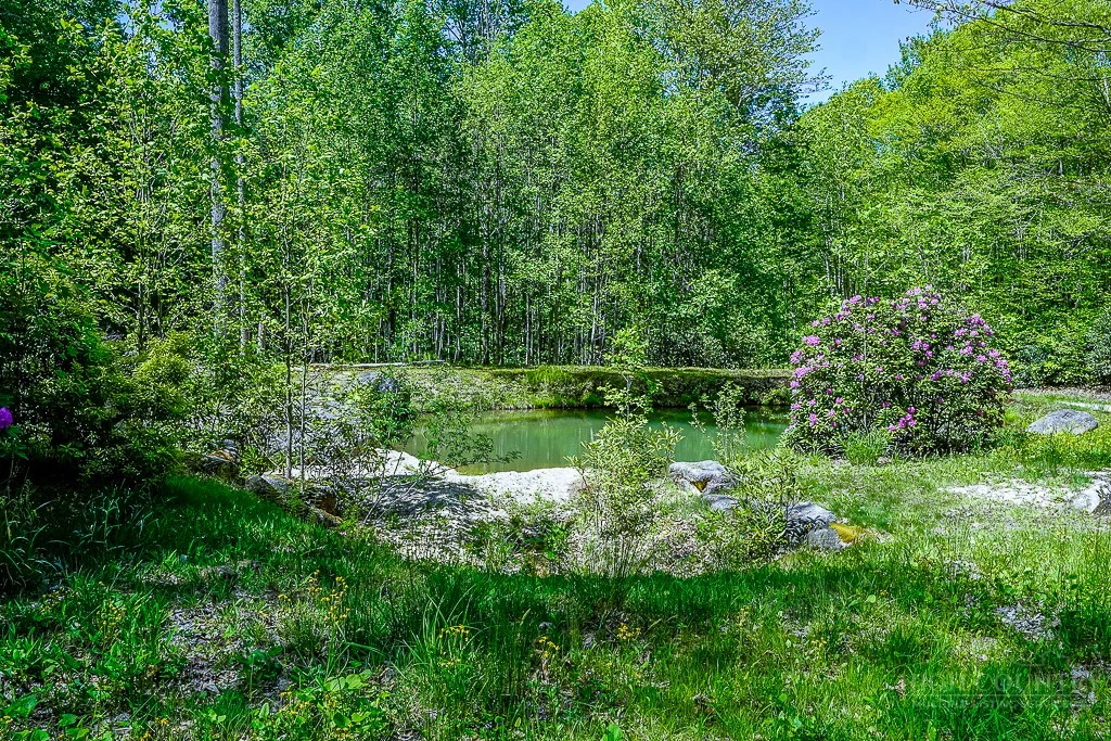 Image number 8 for the current listing