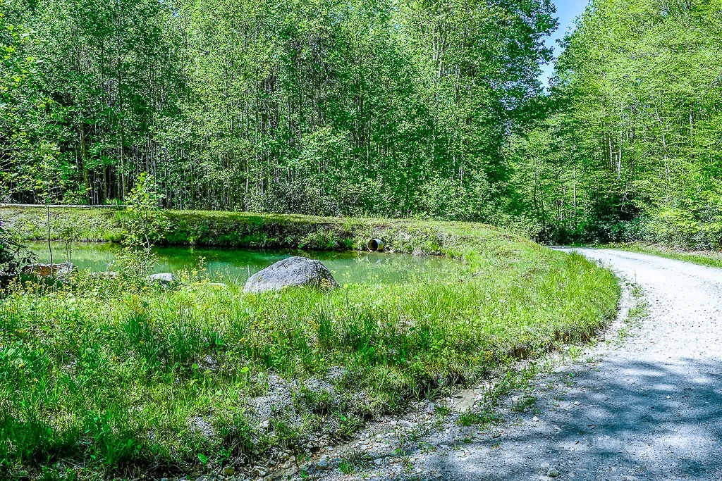 Image number 9 for the current listing