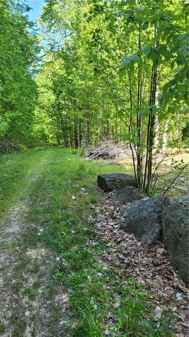 Image number 10 for the current listing
