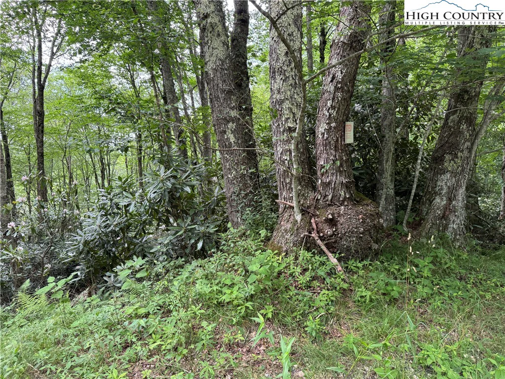 Image number 20 for the current listing