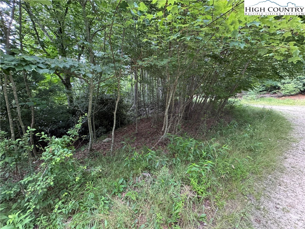 Image number 19 for the current listing