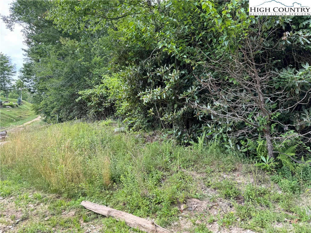 Image number 18 for the current listing