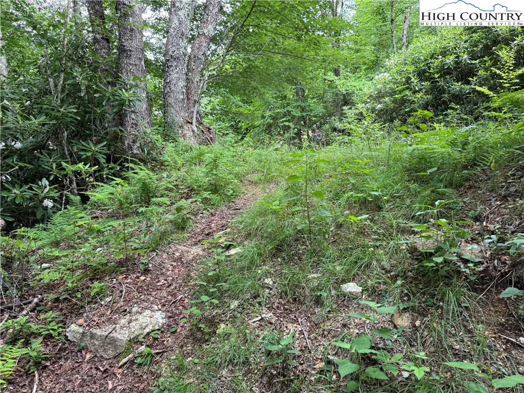 Image number 2 for the current listing