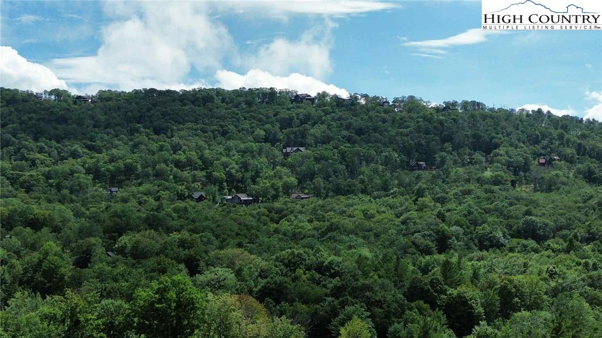 Image number 11 for the current listing