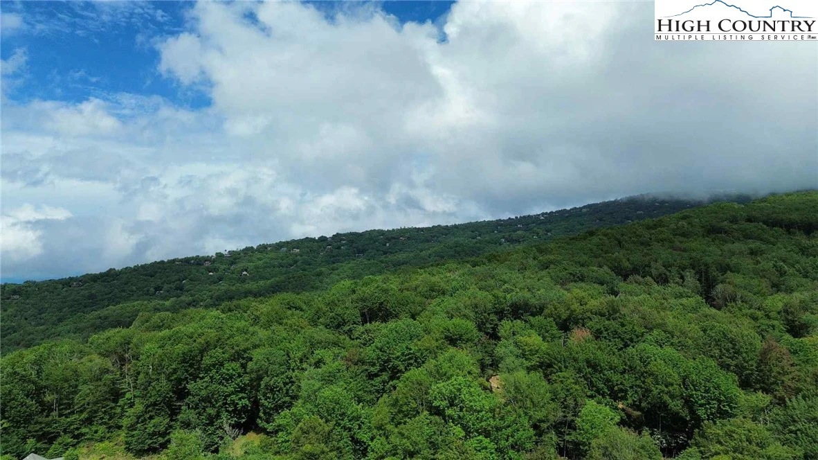 Image number 13 for the current listing