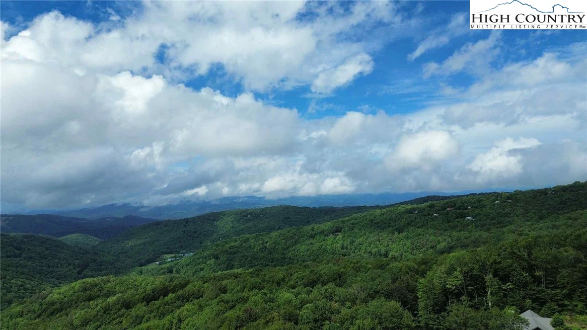 Image number 14 for the current listing