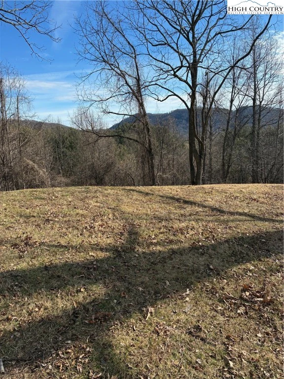 Image number 1 for the current listing