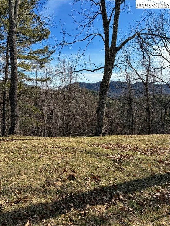 Image number 1 for the current listing