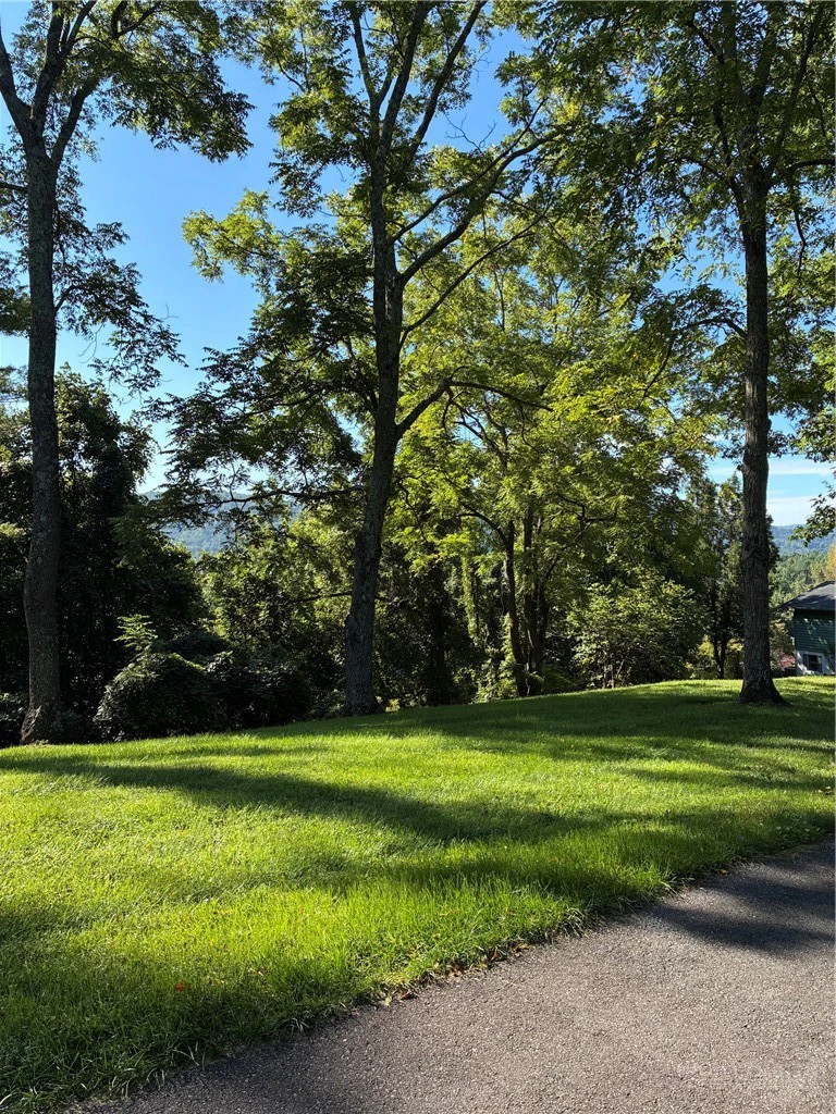 Image number 1 for the current listing