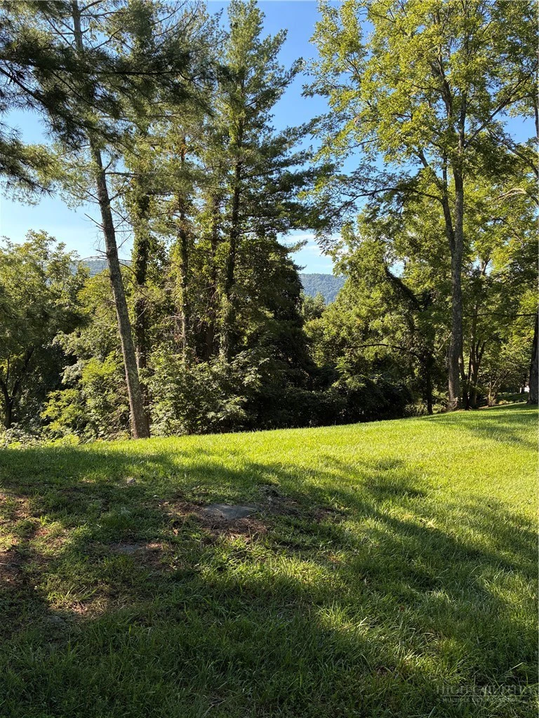 Image number 2 for the current listing