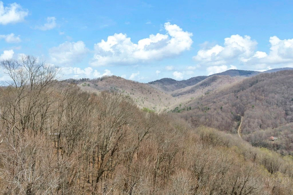 Image number 4 for the current listing