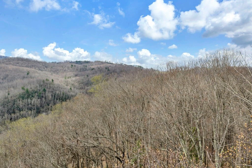 Image number 6 for the current listing