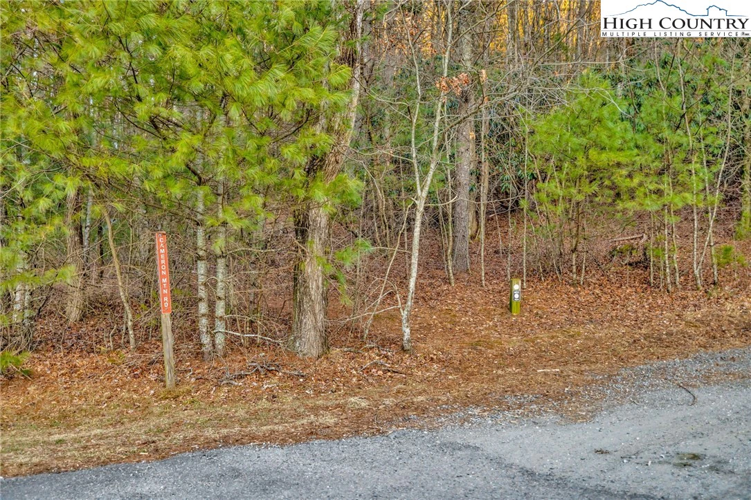Image number 17 for the current listing