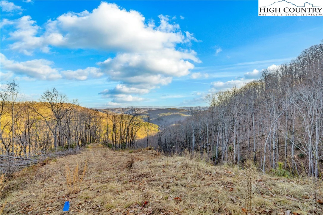 Image number 14 for the current listing