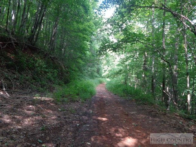 Image number 1 for the current listing