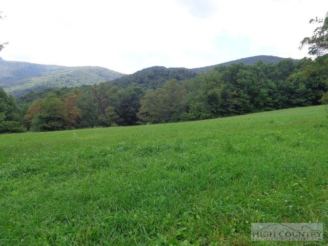 Image number 1 for the current listing