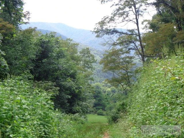 Image number 3 for the current listing