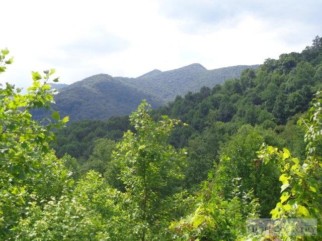Image number 5 for the current listing