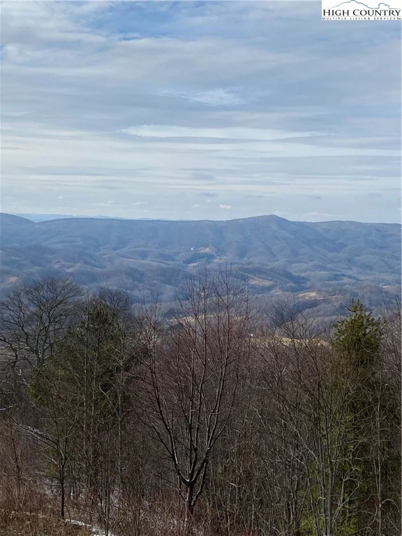 Image number 1 for the current listing