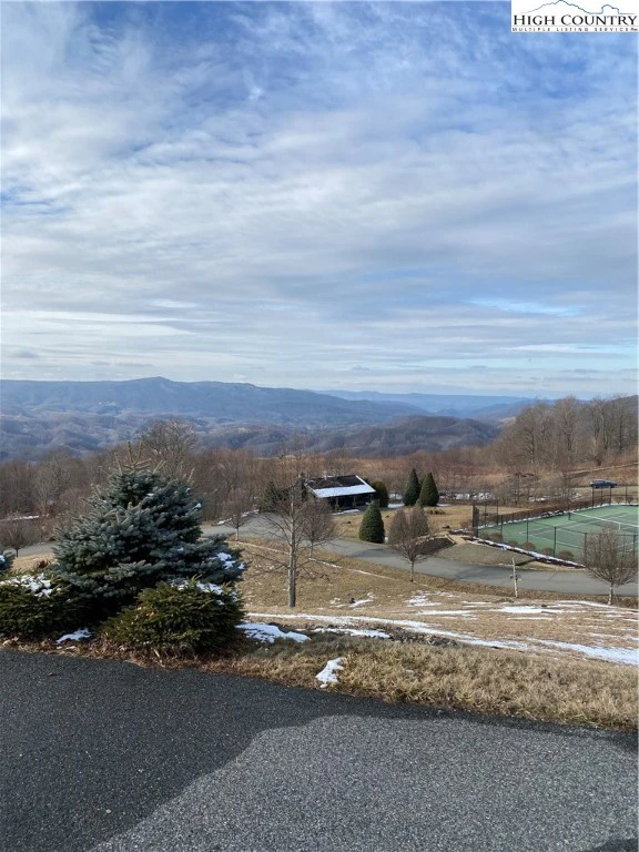 Image number 10 for the current listing