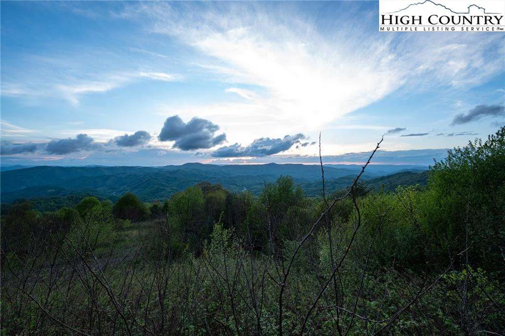 Image number 14 for the current listing