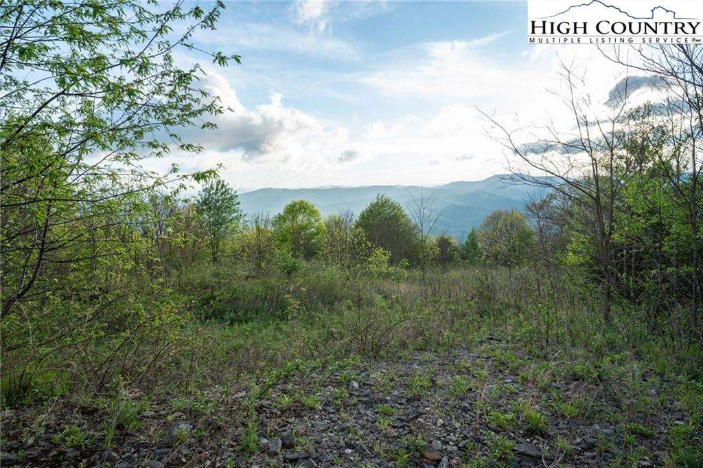Image number 10 for the current listing