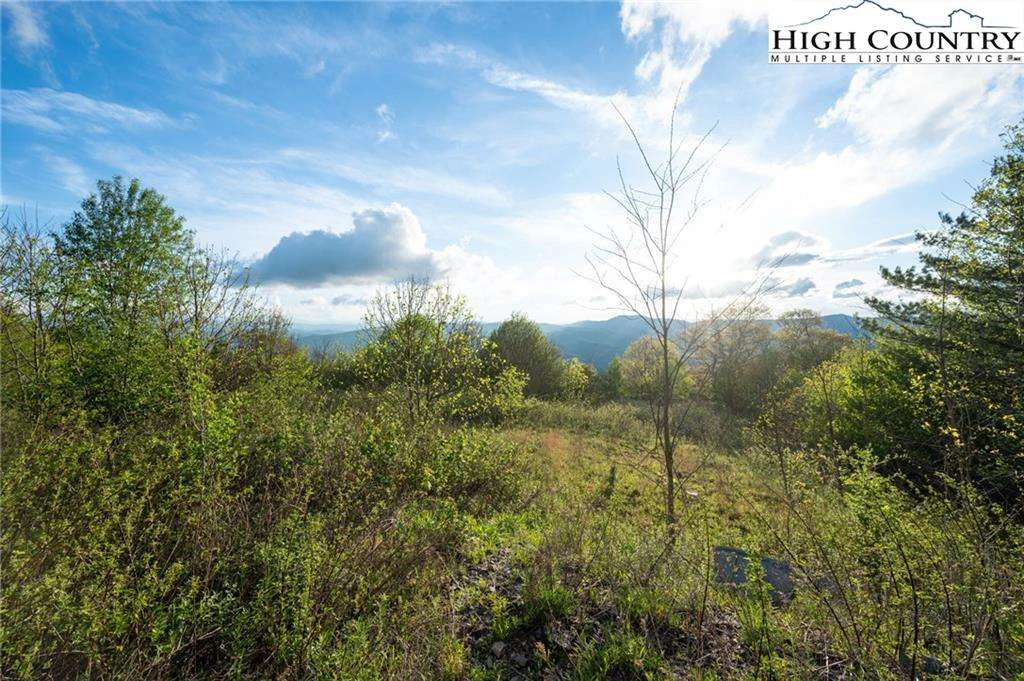 Image number 9 for the current listing