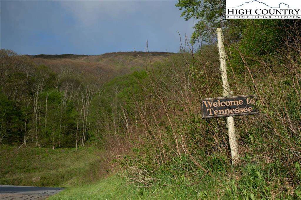 Image number 4 for the current listing