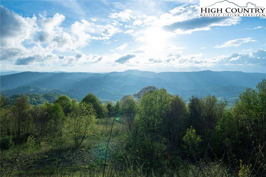 Image number 19 for the current listing
