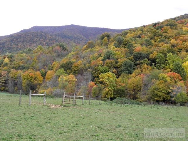 Image number 1 for the current listing