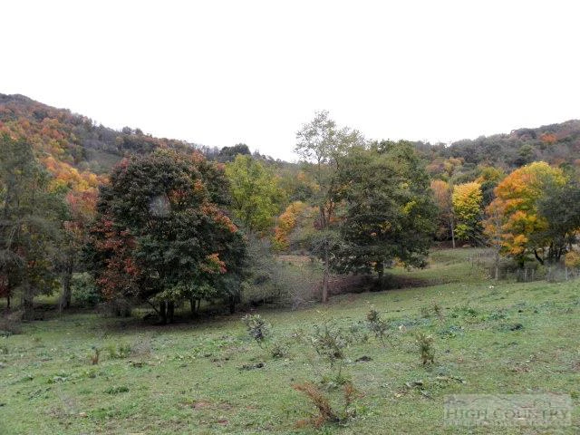 Image number 11 for the current listing