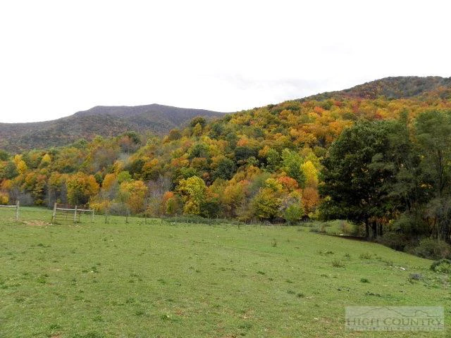 Image number 12 for the current listing
