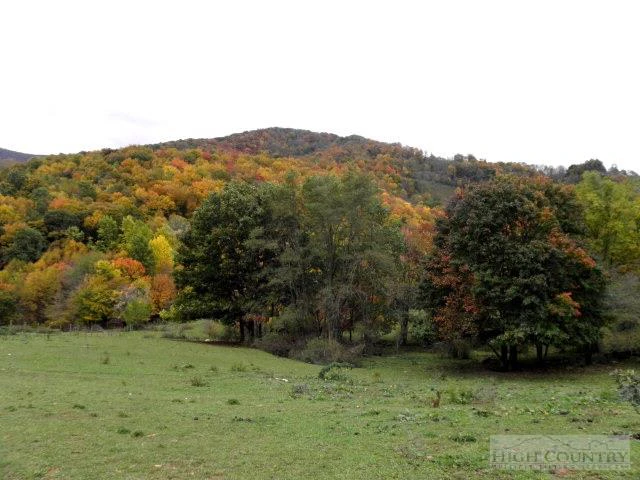 Image number 13 for the current listing