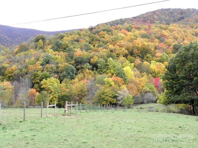 Image number 3 for the current listing