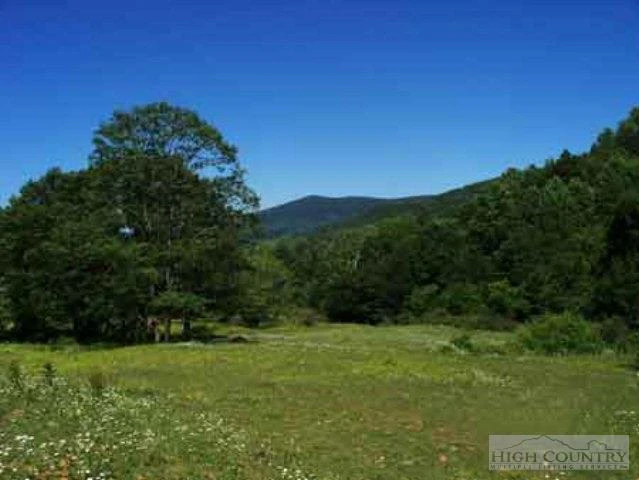 Image number 4 for the current listing