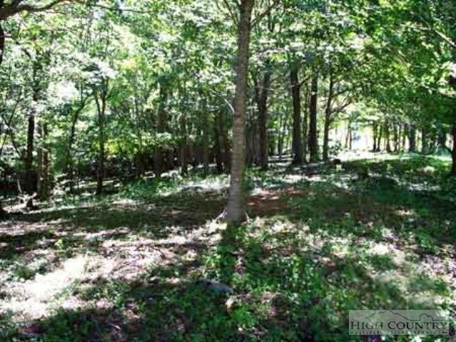 Image number 5 for the current listing
