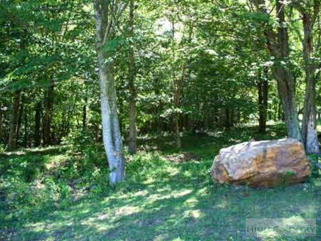 Image number 6 for the current listing