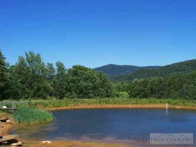 Image number 7 for the current listing