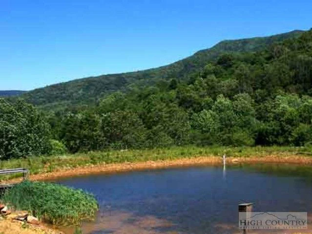 Image number 8 for the current listing