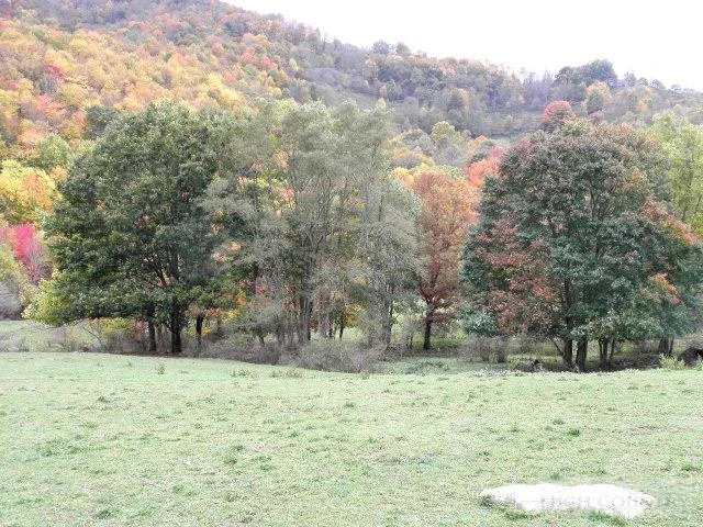 Image number 10 for the current listing