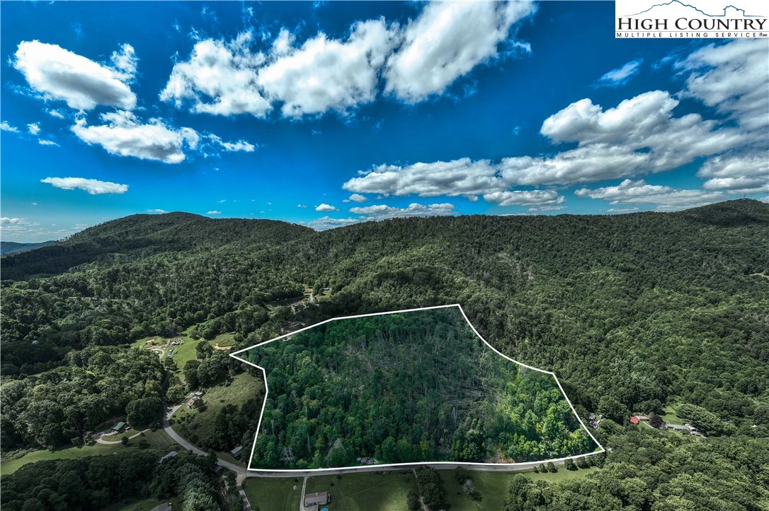 Image number 1 for the current listing
