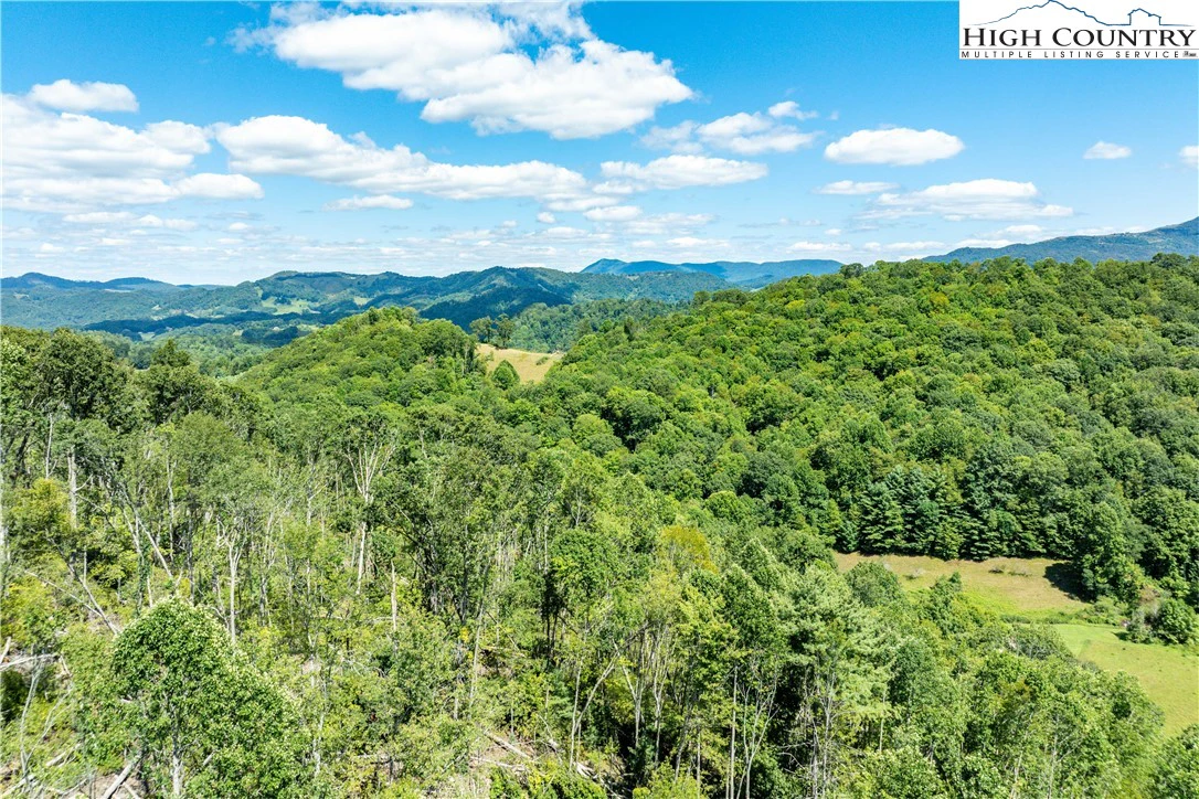 Image number 2 for the current listing