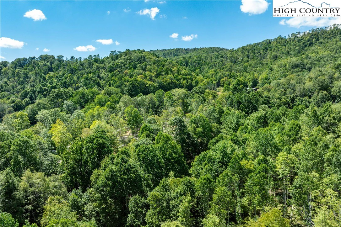 Image number 14 for the current listing