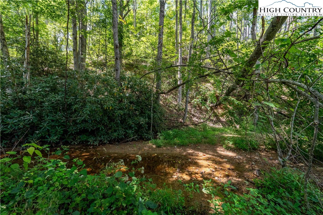 Image number 8 for the current listing